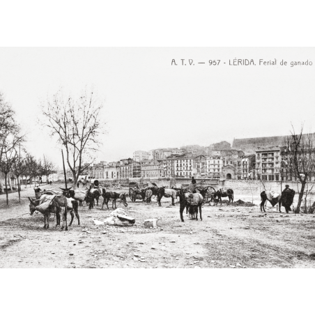 LLEIDA FESTES I TRADICIONS