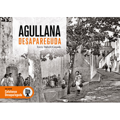 AGULLANA DESAPAREGUDA