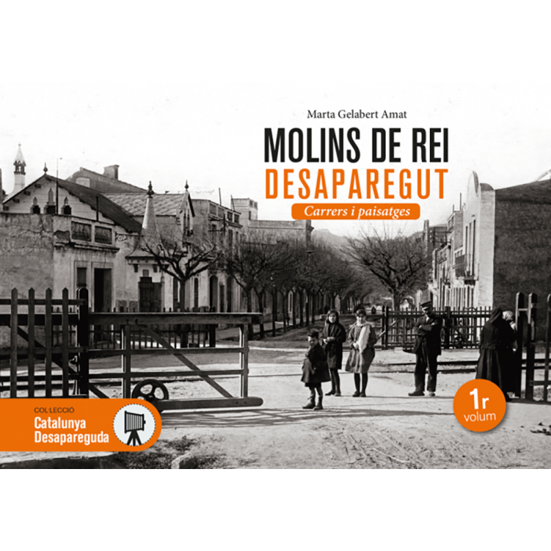 Molins de Rei desaparegut