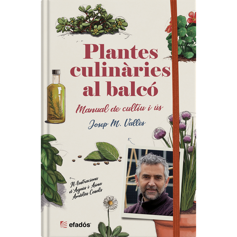 PLANTES CULINÀRIES AL BALCÓ