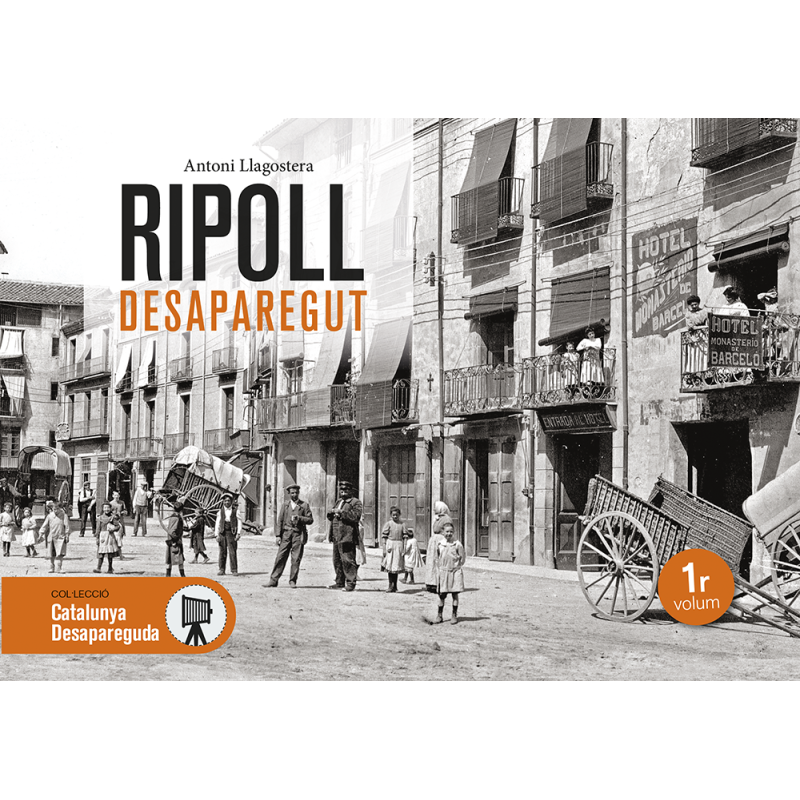 Ripoll desaparegut