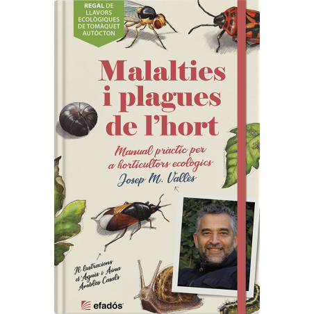 Malalties i plagues de l'hort