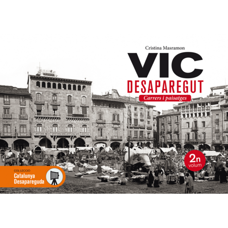 Vic desaparegut 2