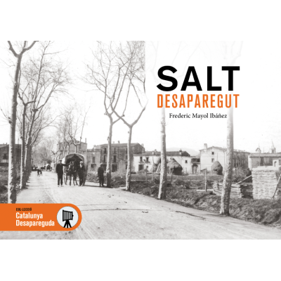 SALT DESAPAREGUT